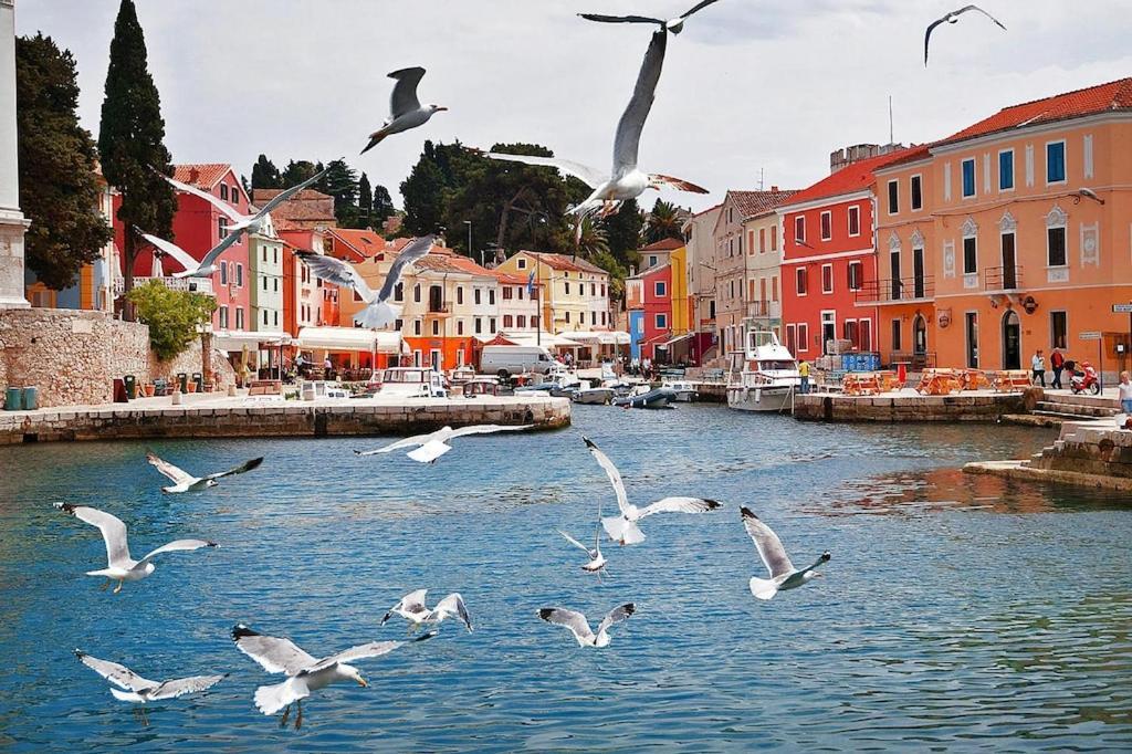 Punta, Apartament Veli Lošinj